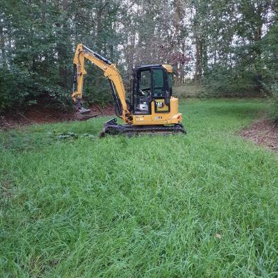 Mini 20230925 074321